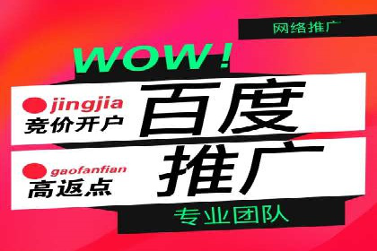 百度网络推广实战技巧：案例解析，教你轻松实现目标